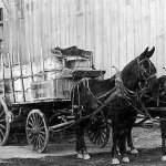 Horse and wagon