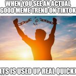 Pray for us ??✌️ | WHEN YOU SEE AN ACTUAL GOOD MEME TREND ON TIKTOK; (TS IS USED UP REAL QUICK) | image tagged in breaking chains,sad,bad meme | made w/ Imgflip meme maker