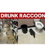 drunk racoon template