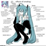 the effects of smoking