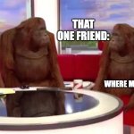 he's never there | THAT ONE FRIEND:; WHERE MONKE? | image tagged in where monkey,funny,monkey,memes,youreadtags | made w/ Imgflip meme maker