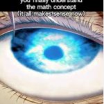How it feels when you understand the math concept