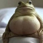 Pregnant frog