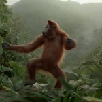 Oranguatan Dancing meme
