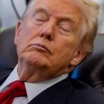 Donald Trump sleeping in the Oval Office Old Man