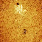 Silver announcement template 20.0