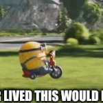 So True✌ | IF AMIR LIVED THIS WOULD BE HIM | image tagged in gifs,w or l,w,l | made w/ Imgflip video-to-gif maker