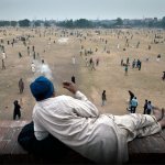 Watching the fight peacefully