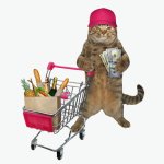 Shopping and cat