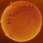 Silver announcement template 21.0