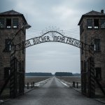 Più libri più liberi