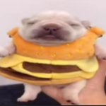 when you trying to sleep