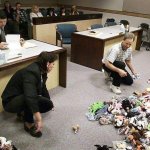 beanie baby divorce