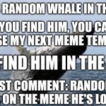 Whale. | THIS IS RANDOM WHALE IN THE TAGS; IF YOU FIND HIM, YOU CAN CHOOSE MY NEXT MEME TEMPLATE; YOU FIND HIM IN THE TAGS; JUST COMMENT: RANDOM WHALE. ON THE MEME HE'S LOCATED | image tagged in whale | made w/ Imgflip meme maker