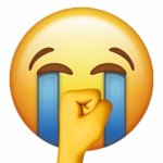 Crying Laughing Emoji