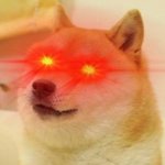 Red eyes doge
