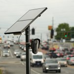 Get the flock out of here