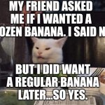 Smudge that darn cat | MY FRIEND ASKED ME IF I WANTED A FROZEN BANANA. I SAID NO. BUT I DID WANT A REGULAR BANANA LATER...SO YES. | image tagged in smudge that darn cat | made w/ Imgflip meme maker