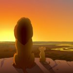 Everything the Light Touches
