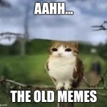 A meowl | AAHH... THE OLD MEMES | image tagged in a meowl,random randomness in the random tags | made w/ Imgflip meme maker