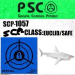 PSC-1057