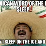 mexican word of the day | MEXICAN WORD OF THE DAY
SLEEP; TODAY I SLEEP ON THE ICE AND FELL... | image tagged in mexican word of the day | made w/ Imgflip meme maker