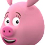 Zooter the pig piglet