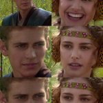 Anakin Padme 6 Panel