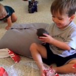 It's an avocado, thanks template