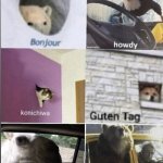 lol | ME WHEN I SEE HATSUNE MIKU; @FINPAN-V1C MOMENTUM | image tagged in bonjour howdy konichiwa guten tag selam privet | made w/ Imgflip meme maker