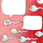 sperm cells talking