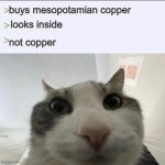 Ea-Nasir was here | buys mesopotamian copper; looks inside; not copper | image tagged in cat looks inside | made w/ Imgflip meme maker