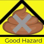 GOOD HAZARD