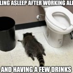 Work and Alcohol Puts Me To Sleep | ME FALLING ASLEEP AFTER WORKING ALL WEEK; AND HAVING A FEW DRINKS | image tagged in drunk raccoon,full time job,alcohol,weekend,sleep,tired | made w/ Imgflip meme maker