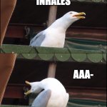Inhaling Seagull | *STUBS TOE*; *INHALES*; AAA-; -AAAAAHHH!!!!!!! | image tagged in memes,inhaling seagull | made w/ Imgflip meme maker