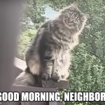 Good morning, neighbor! | GOOD MORNING, NEIGHBOR! | image tagged in smiling,cat,clean,silly,funny,cute | made w/ Imgflip meme maker