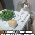 Thanks for inviting me over to dinnertime! | THANKS FOR INVITING ME OVER TO DINNERTIME! | image tagged in table,meal,dinner,cat,adorable,silly | made w/ Imgflip meme maker
