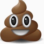 Shit emoji