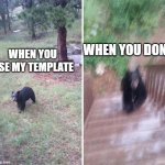 Free template; fresh from the new template button | WHEN YOU DONT; WHEN YOU USE MY TEMPLATE | image tagged in angry bear,new template | made w/ Imgflip meme maker