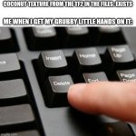 Delete | COCONUT TEXTURE FROM THE TF2 IN THE FILES: EXISTS; ME WHEN I GET MY GRUBBY LITTLE HANDS ON IT: | image tagged in delete,tf2,coconut | made w/ Imgflip meme maker