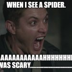 arachinaphobia | WHEN I SEE A SPIDER. AAAAAAAAAAAAAAAAHHHHHHHHHHH!!
THAT WAS SCARY............................................. | image tagged in supernatural dean scared | made w/ Imgflip meme maker