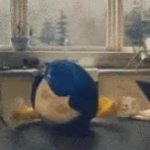 Coraline dramtic GIF Template