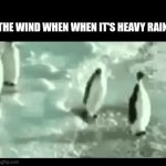 this is true | THE WIND WHEN WHEN IT'S HEAVY RAIN | image tagged in gifs,fun,relatable,windy,penguin | made w/ Imgflip video-to-gif maker