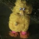 Blurry big bird