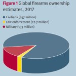 Firearms Ownership Pie graph