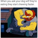 Dog wtf their eating