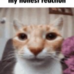 My honest reaction meme