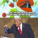 Stealing is not ok | “DON’T YOU KNOW YOU’RE NOT SUPPOSED TO TAKE THINGS THAT DON’T BELONG TO YOU?” | image tagged in trump is a grinch | made w/ Imgflip meme maker