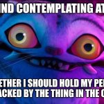 Tiger stares | MY MIND CONTEMPLATING AT 3 AM; WHETHER I SHOULD HOLD MY PEE OR BE ATTACKED BY THE THING IN THE CORNER | image tagged in tiger stares | made w/ Imgflip meme maker