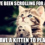 Do anything, and I wish you a GREAT day! | YOU HAVE BEEN SCROLLING FOR A WHILE; HERE HAVE A KITTEN TO PLAY WITH | image tagged in cute kitten,funny,memes,adorable,kitten,oh wow are you actually reading these tags | made w/ Imgflip meme maker